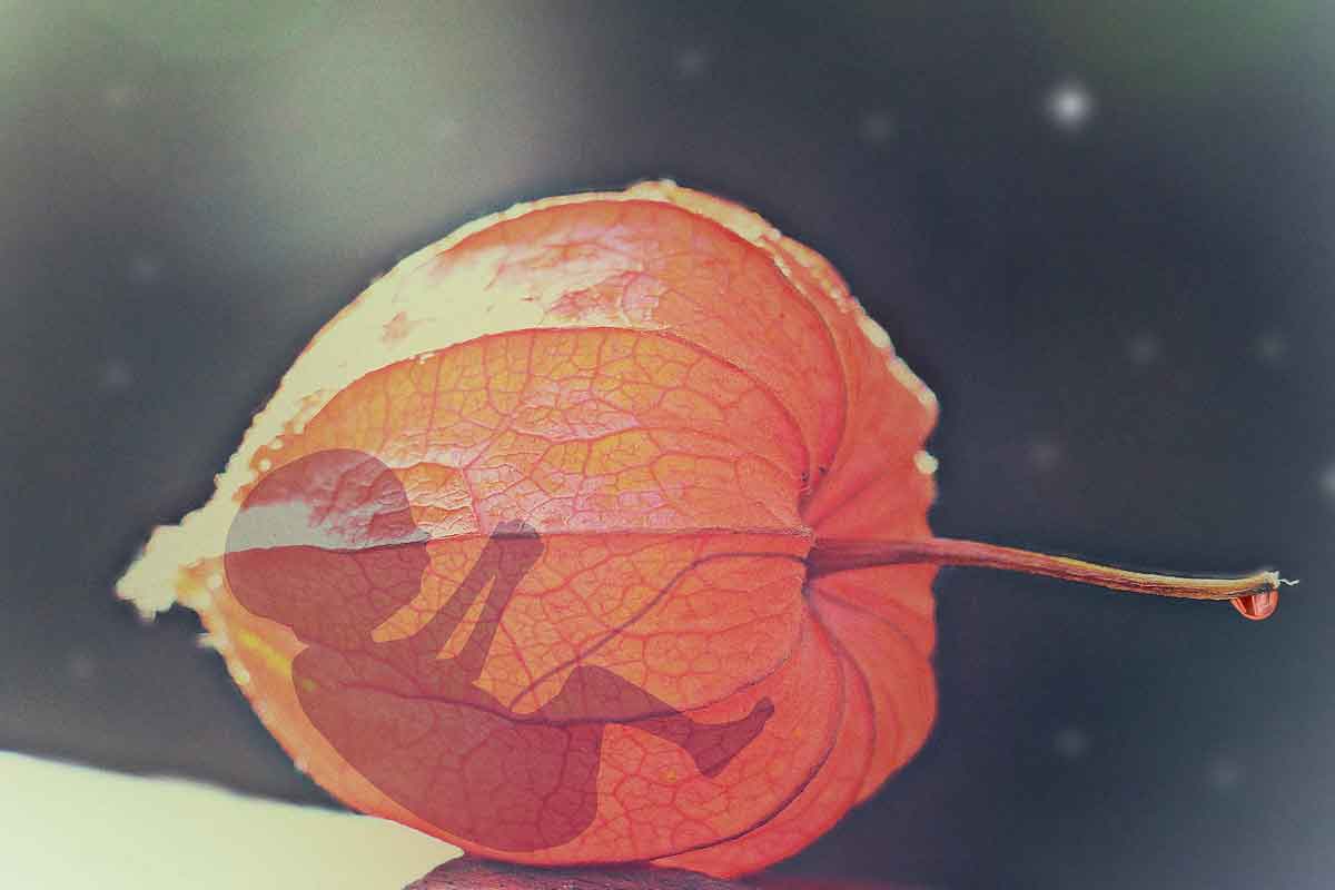 Kā ar uztura palīdzību var mazināt spontānā aborta un iedzimtu defektu draudus?