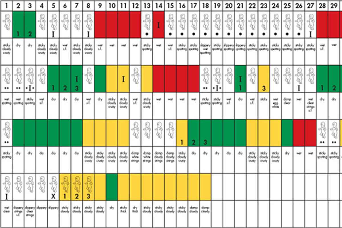 Billingsa Ovulācijas metode